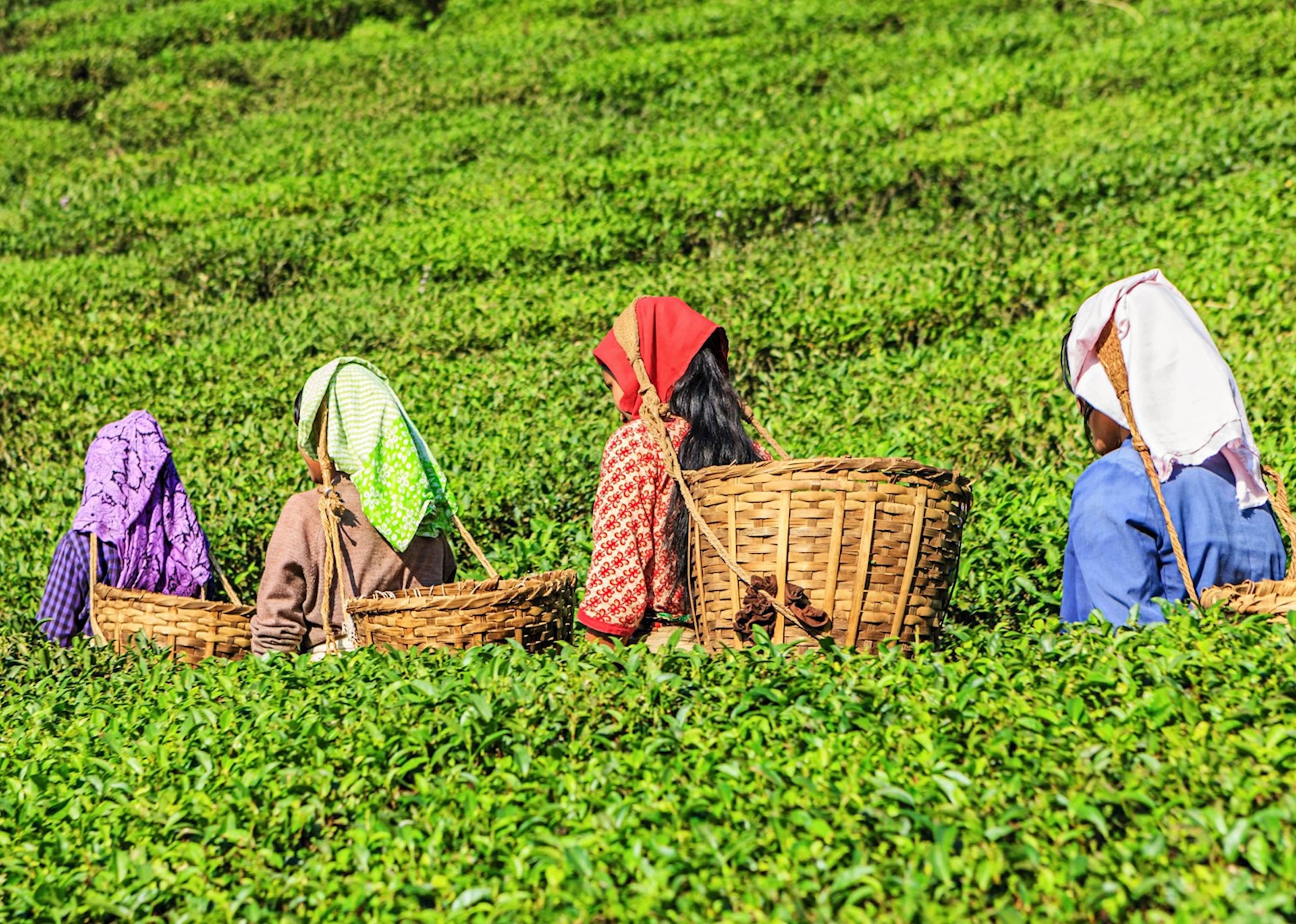 India Adventure and Community Service