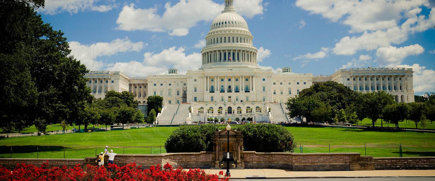 Washington & New York Business Experience