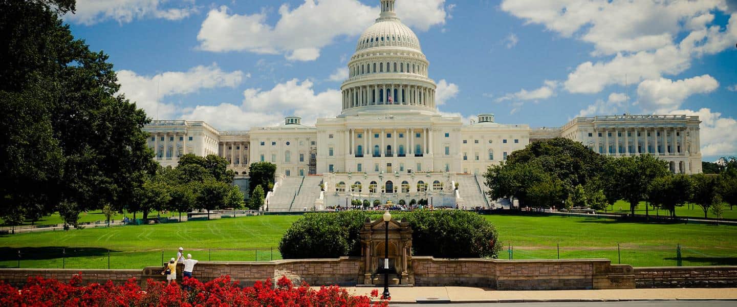 Washington & New York Business Experience
