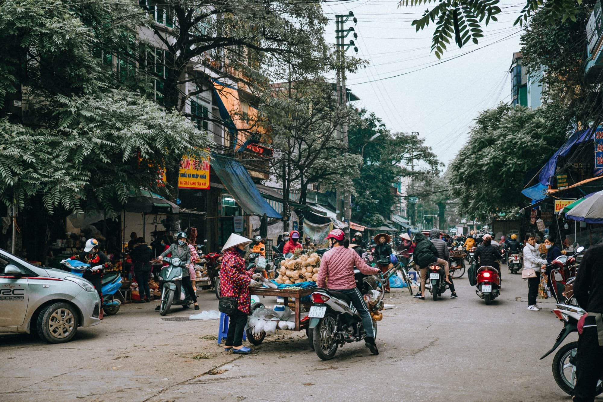 Vietnam: Culture, History and Adventure