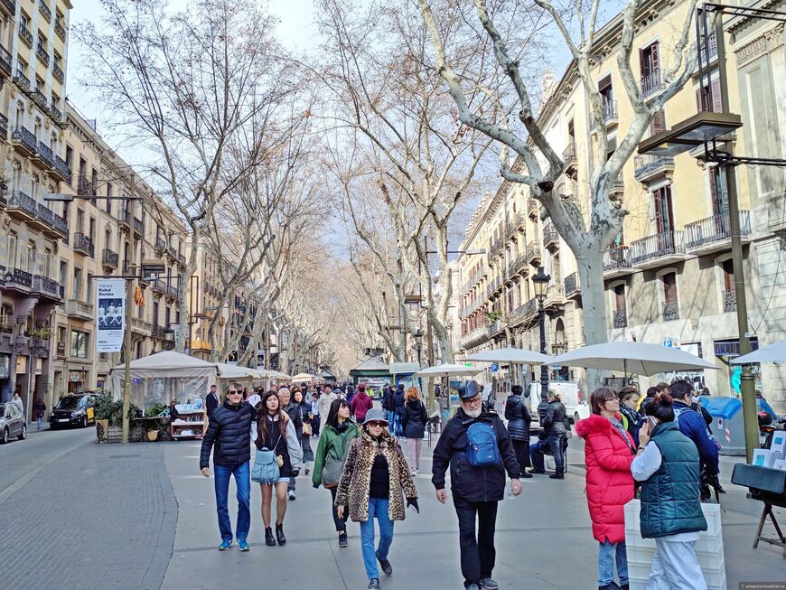  Barcelona Language Trip 
