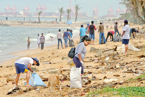 Volunteering Trip to Sri Lanka 